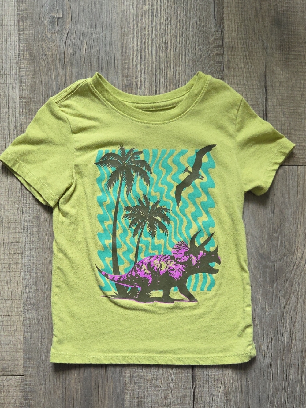 Cat & Jack Lime Green Dinosaur Palm Graphic Tee